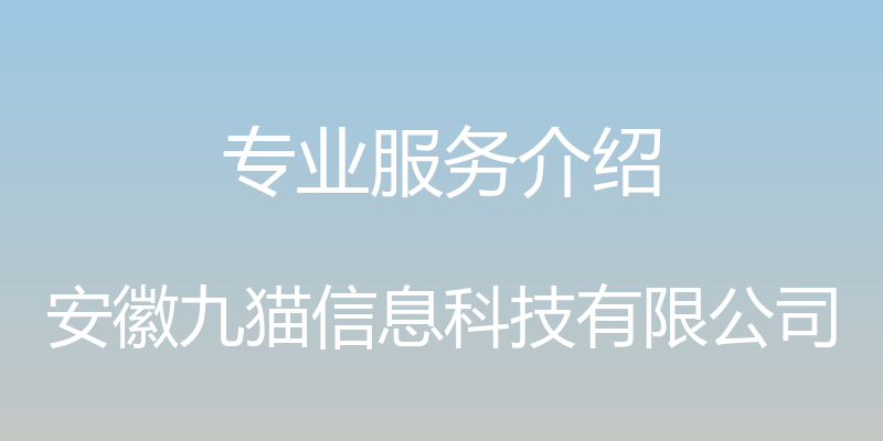 专业服务介绍 - 安徽九猫信息科技有限公司