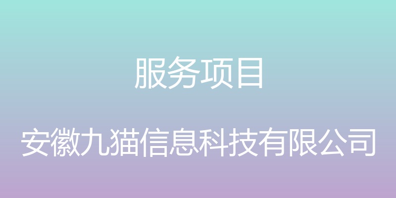 服务项目 - 安徽九猫信息科技有限公司