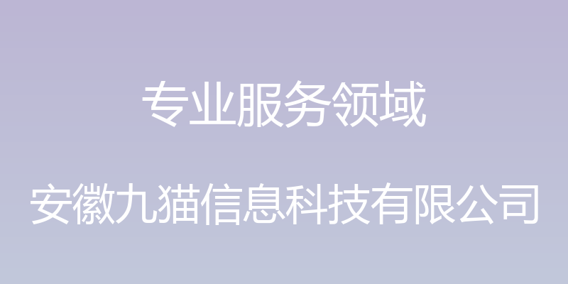 专业服务领域 - 安徽九猫信息科技有限公司