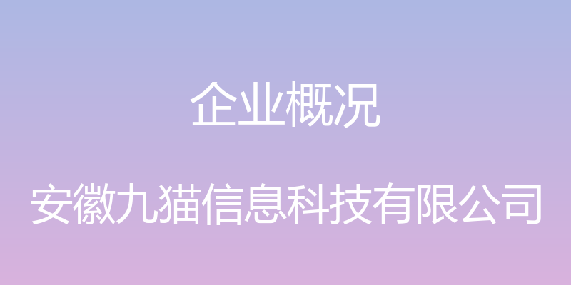 企业概况 - 安徽九猫信息科技有限公司