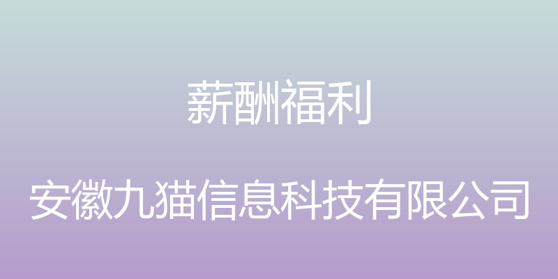 薪酬福利 - 安徽九猫信息科技有限公司