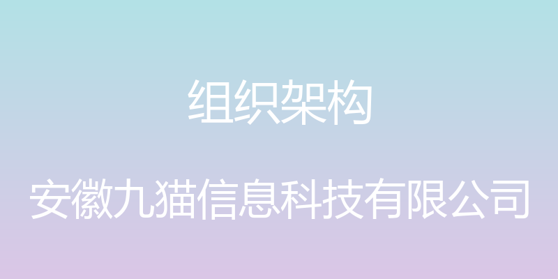 组织架构 - 安徽九猫信息科技有限公司